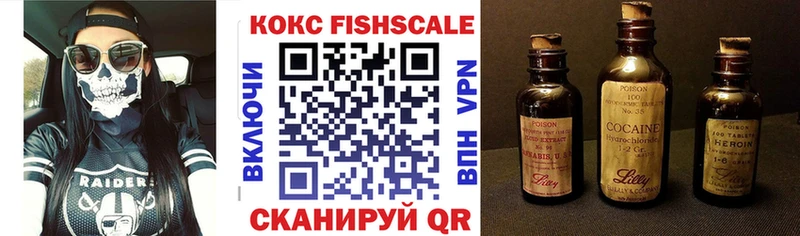 Cocaine Fish Scale  mega tor  Тольятти  магазин продажи  