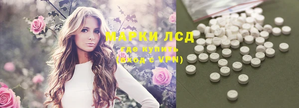 индика Абаза