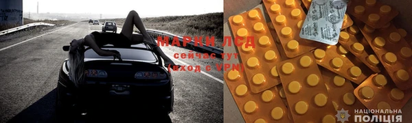 индика Абаза
