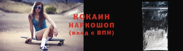индика Абаза