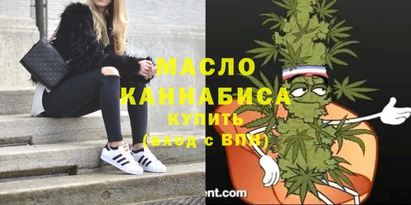 индика Абаза