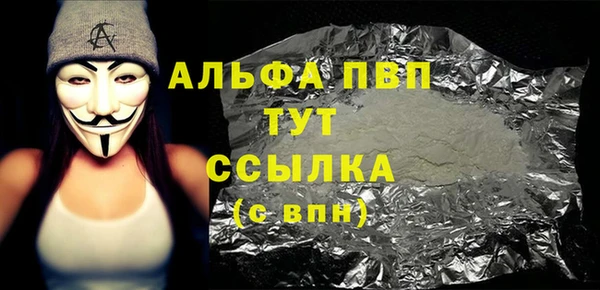 индика Абаза