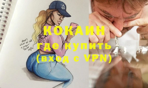 индика Абаза